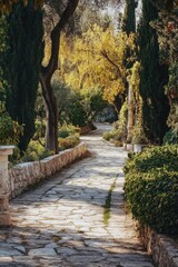 Stone path surrounded by trees and bushes