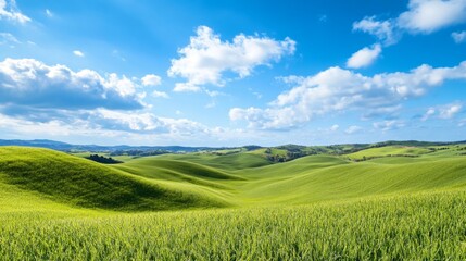 Fototapeta premium Expansive View of Lush Rolling Hills Under Bright Blue Sky