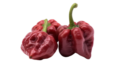 Three distinct red chili peppers are isolated on a white background, highlighting their unique wrinkled textures and rich color. Perfect for culinary inspiration and food art