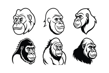 Gorilla (Gorilla gorilla) animal design, labeled line art vector art illustration.