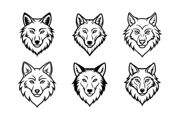 Gray Wolf (Canis lupus) animal design, labeled line art vector art illustration.