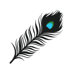  a peacock thin line feather details.