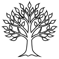 Simple Tree of Life Line Drawing in Vector