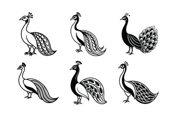 Indian Peafowl (Pavo cristatus) animal design, labeled line art vector art illustration.