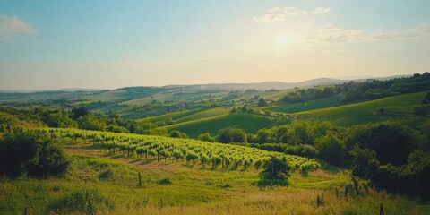Naklejka premium Field with Trees and Hills