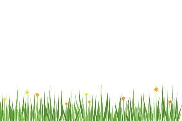 Fototapeta premium meadow colorful flowers