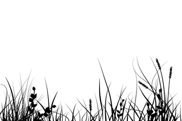 meadow silhouette with weeds