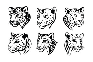 Jaguar (Panthera onca) animal design, labeled line art vector art illustration.