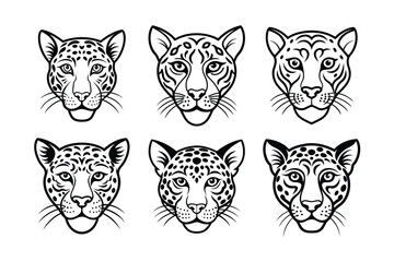 Jaguar (Panthera onca) animal design, labeled line art vector art illustration.