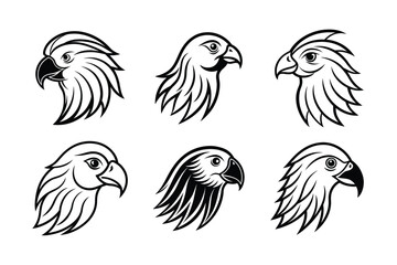 Kakapo (Strigops habroptilus) animal design, labeled line art vector art illustration.