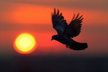 Fototapeta premium Bird soaring across vibrant sunset sky, creating a dramatic silhouette