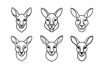 Kangaroo (Macropus rufus) animal design, labeled line art vector art illustration.