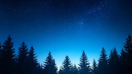 Dark Blue Night Sky Over Silhouetted Pine Forest