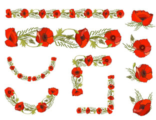 Set of frames and elements from poppies