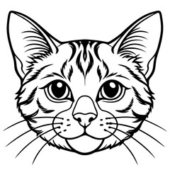 Obraz premium cat with a face