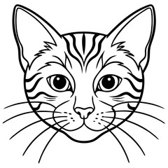 black and white cat head