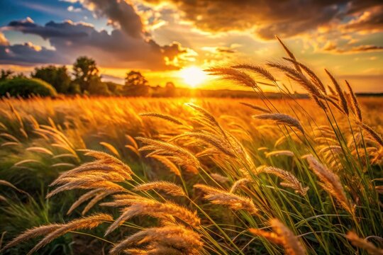 Golden sunset bathes an autumnal meadow, painting a warm, rural landscape. - Powered by Adobe
