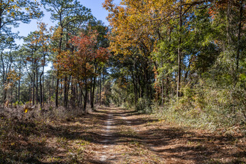 Autumn scenery along the St. Marks Wildlife Refuge section of the Florida Trail