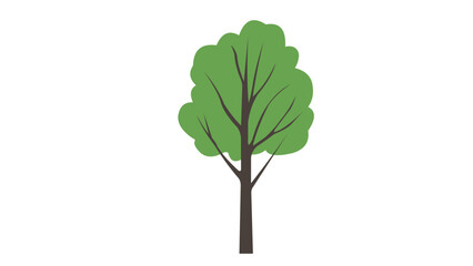 A tree icon on a white background vector.
