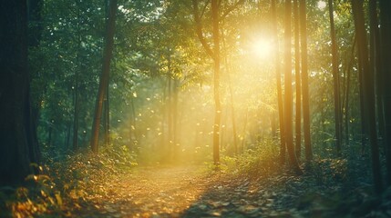 Naklejka premium Sunlit forest path, dust motes, summer morning, peaceful scene, nature background