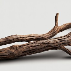 Fototapeta premium Dark Brown Weathered Wood Branch Detail
