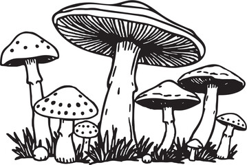 A mushrooms line art shilouette vector illustration on white background.