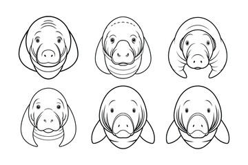 Manatee (Trichechus) animal design, labeled line art vector art illustration.