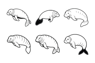 Manatee (Trichechus) animal design, labeled line art vector art illustration.