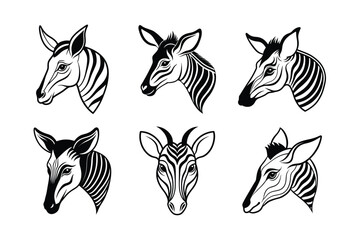 Okapi (Okapia johnstoni) animal design, labeled line art vector art illustration.