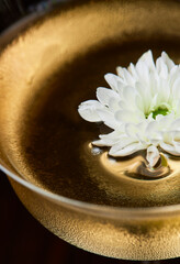 A glass bowl filled with liquid and a white flower floating on top. The bowl is made of glass and has a gold rim. The flower is the main focus of the image, and it is a daisy