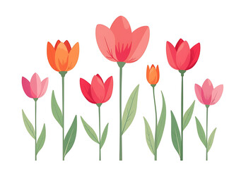 colored flowers isolated white background ideal graphic elements decorations spring