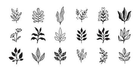 Hand drawn outline doodle floral elements leaf set. Plant leaves vector design