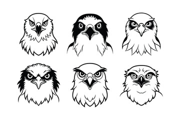 Osprey (Pandion haliaetus) animal design, labeled line art vector art illustration.