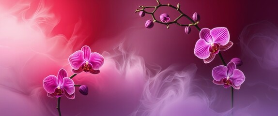 Red and orchid misty glowing gradient with soft silky brushed texture 