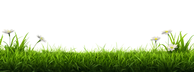 Spring Green Grass Border png Cut Out Illustration on Transparent Background with Copy Space