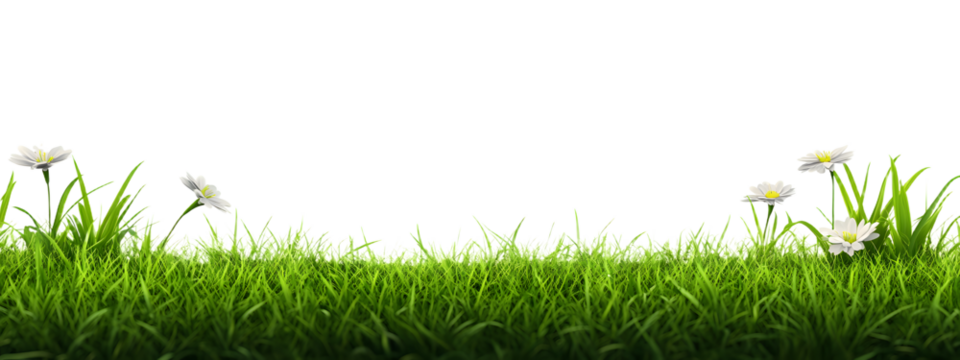 Spring Green Grass Border png Cut Out Illustration on Transparent Background with Copy Space