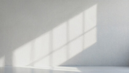 Sunlight casts a shadow on a textured light gray wall