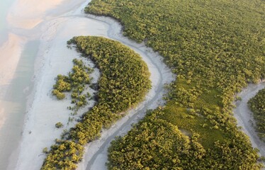 Ariel view of green land on the coast with a river, beach.
