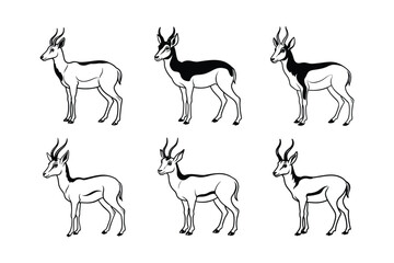 Pronghorn (Antilocapra americana) animal design, labeled line art vector art illustration.