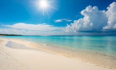 Experience the stunning tropical beach that lies under the bright sunlight of paradise