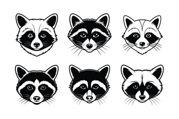 Fototapeta premium Raccoon (Procyon lotor) animal design, labeled line art vector art illustration.