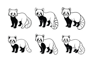 Red Panda (Ailurus fulgens) animal design, labeled line art vector art illustration.