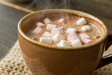 Mental Health Support, A warm cup of hot chocolate topped with marshmallows, steaming gently, evokes cozy feelings and winter comfort.