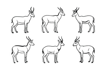 Saiga Antelope (Saiga tatarica) animal design, labeled line art vector art illustration.