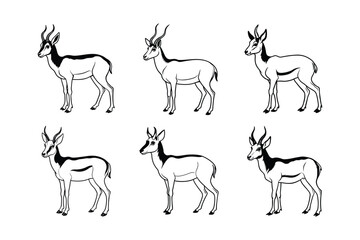 Pronghorn (Antilocapra americana) animal design, labeled line art vector art illustration.