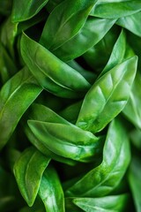 Obraz premium A detailed view of a handful of fresh green leaves