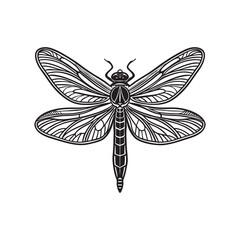 dragonfly vector illustration