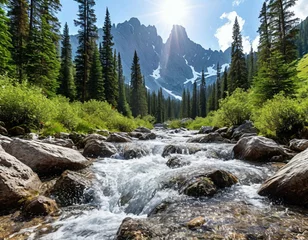 Fototapete mountain river in the mountains © Олеся Стешина