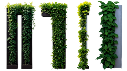 Dense and healthy green grass isolated on a clean PNG background, featuring rich textures and natural shades, perfect for garden visuals, eco-friendly designs, and botanical compositions