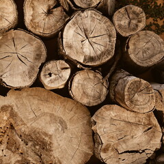 Naklejka premium Wooden Logs Rustic Textured Closeup Brown Natural Renewable Material Stack